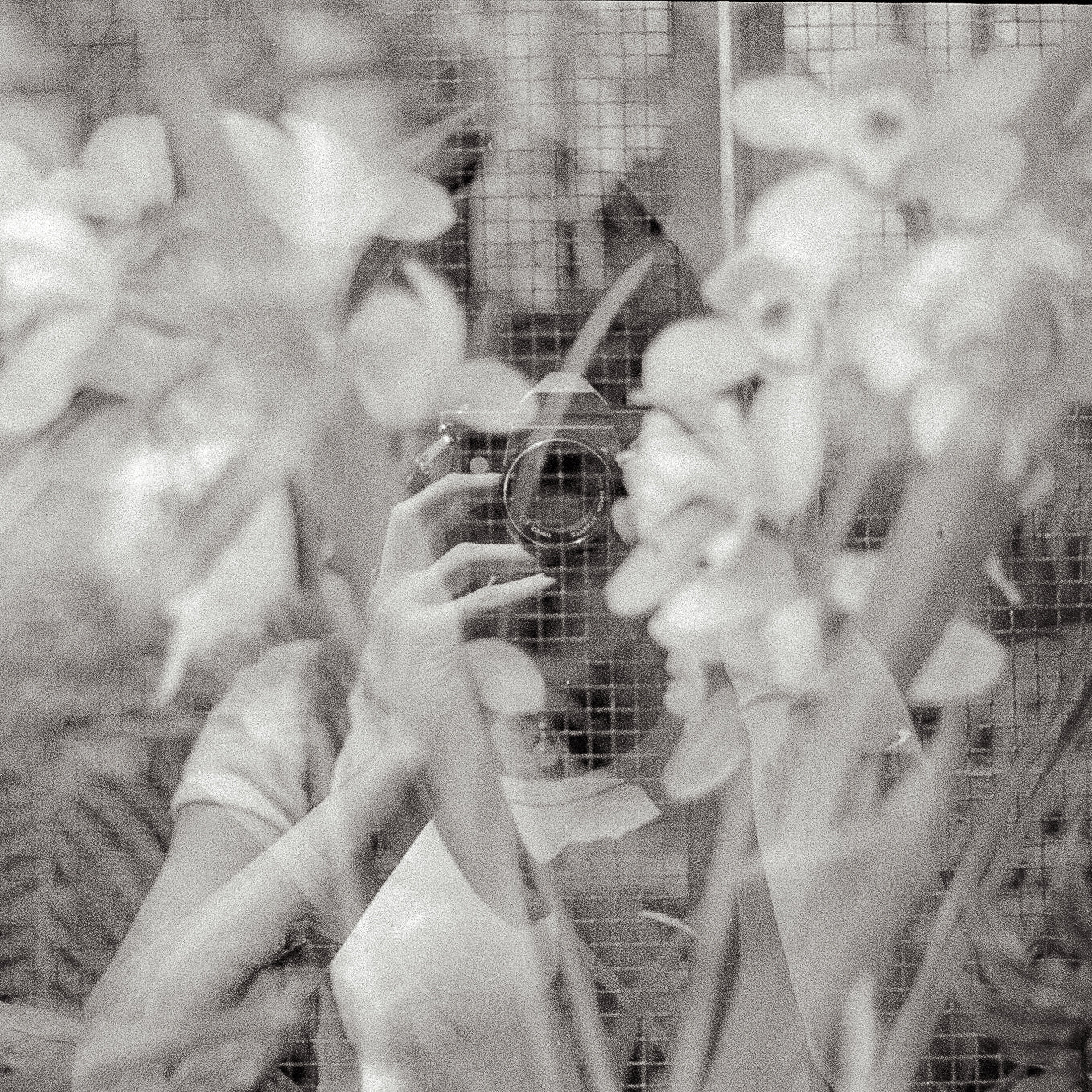 Beauty And Chaos Go Hand In Hand