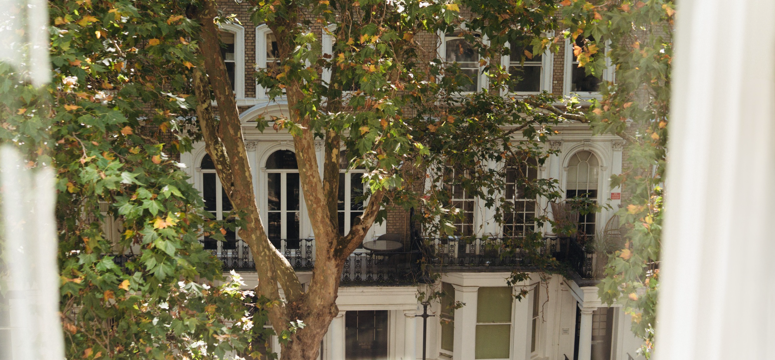 A SECRET CITY SANCTUARY